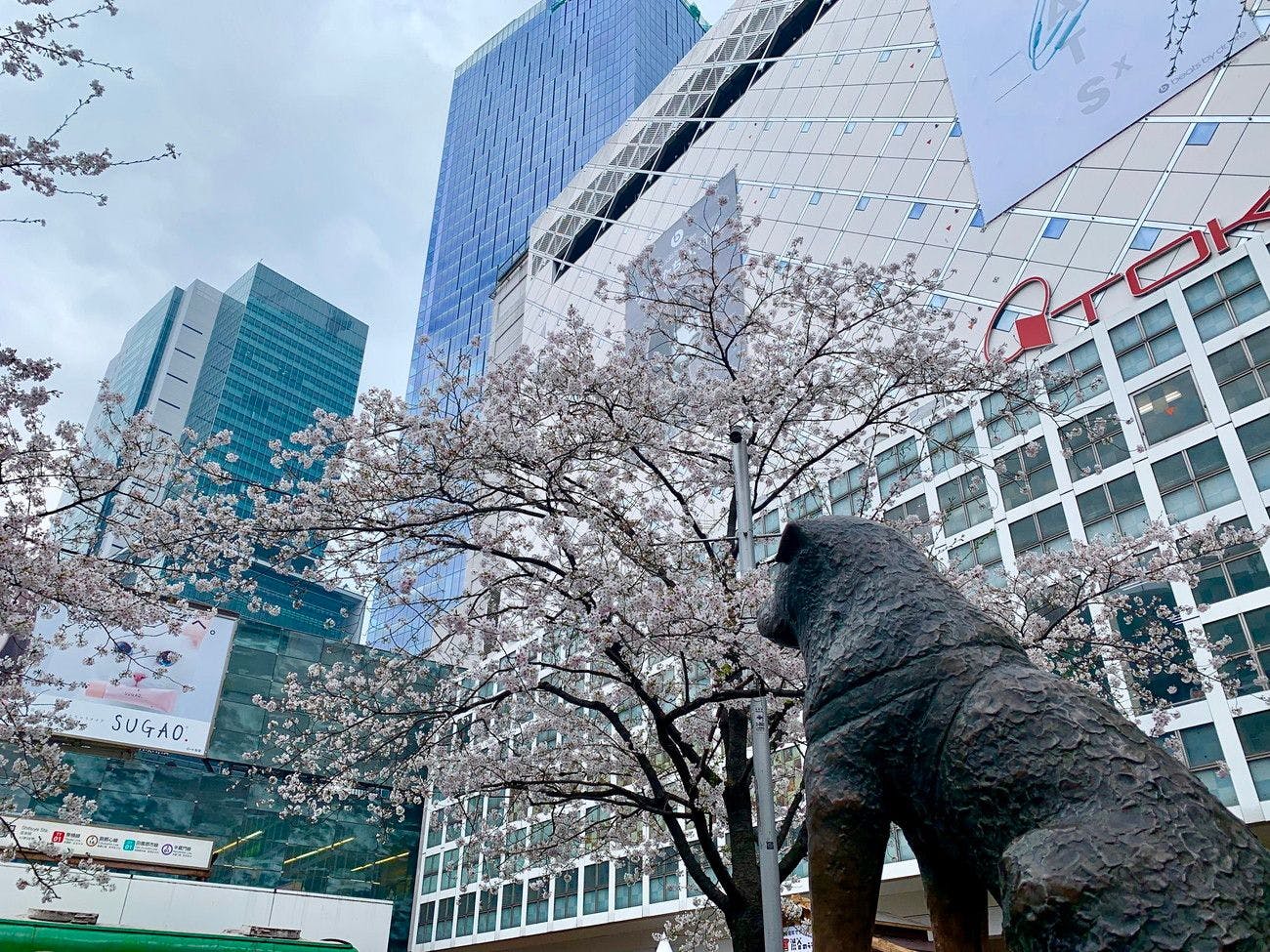 渋谷駅ハチ公口