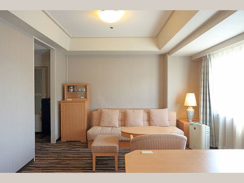 徳島のシンボル「眉山」がよく見えます。