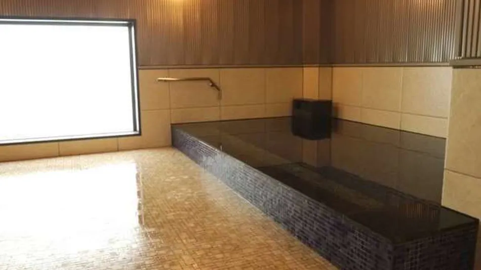 Kuretake Inn Premium Shizuoka Ekimae