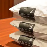 หมอนให้เช่า