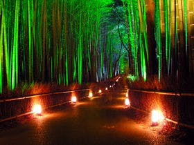 ホテル エムズ・プラス四条大宮(2017年2月オープン) 1枚目