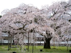 ホテル　エムズ・プラス四条大宮(2017年2月オープン)