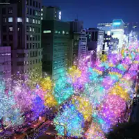 御堂筋イルミネーション2024(イメージ)