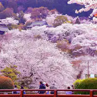 (公社)びわこビジターズビューロー