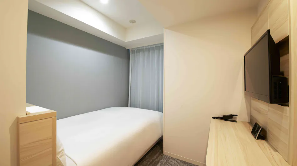 Sotetsu Fresa Inn Ueno-Okachimachi
