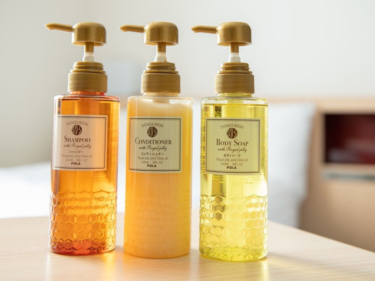 สิ่งอำนวยความสะดวกบนรถบัส