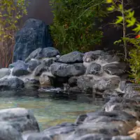 <天然温泉 睡莲之汤>
