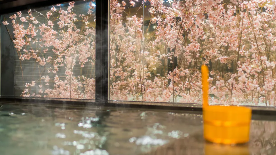 High Concentration Carbonated Spring Fukuro no Yu Super Hotel Ikebukuro Station North Exit