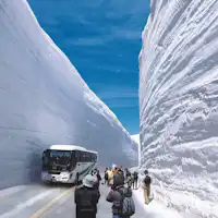 雪の大谷