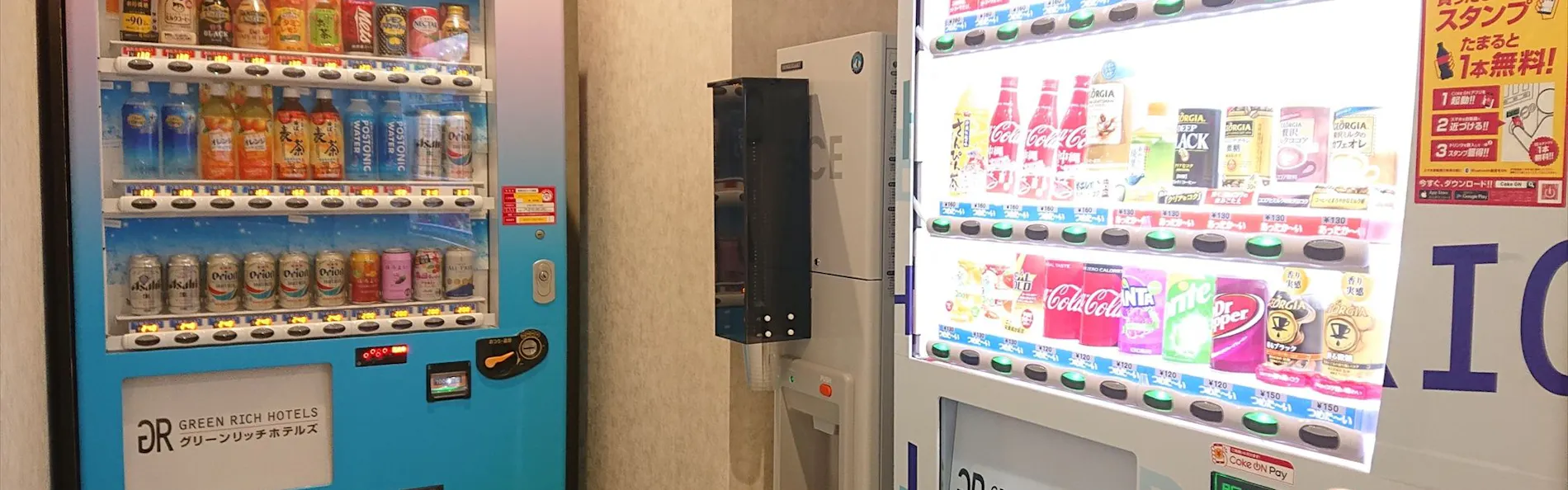 グリーンリッチホテル沖縄名護(人工温泉 二股湯の華)
