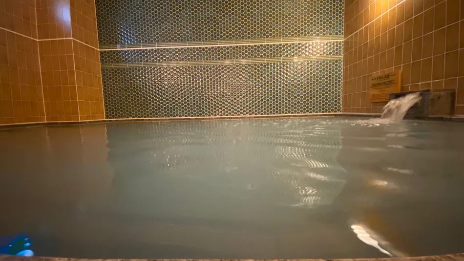Sanco Inn Kyoto Hachijo-guchi <Miyabi> ~Shiki no Yu~