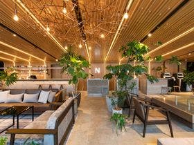 �y�k�C��:�D�y�z�U ���C�����p�[�N�L�����o�X �D�y��ʌ���