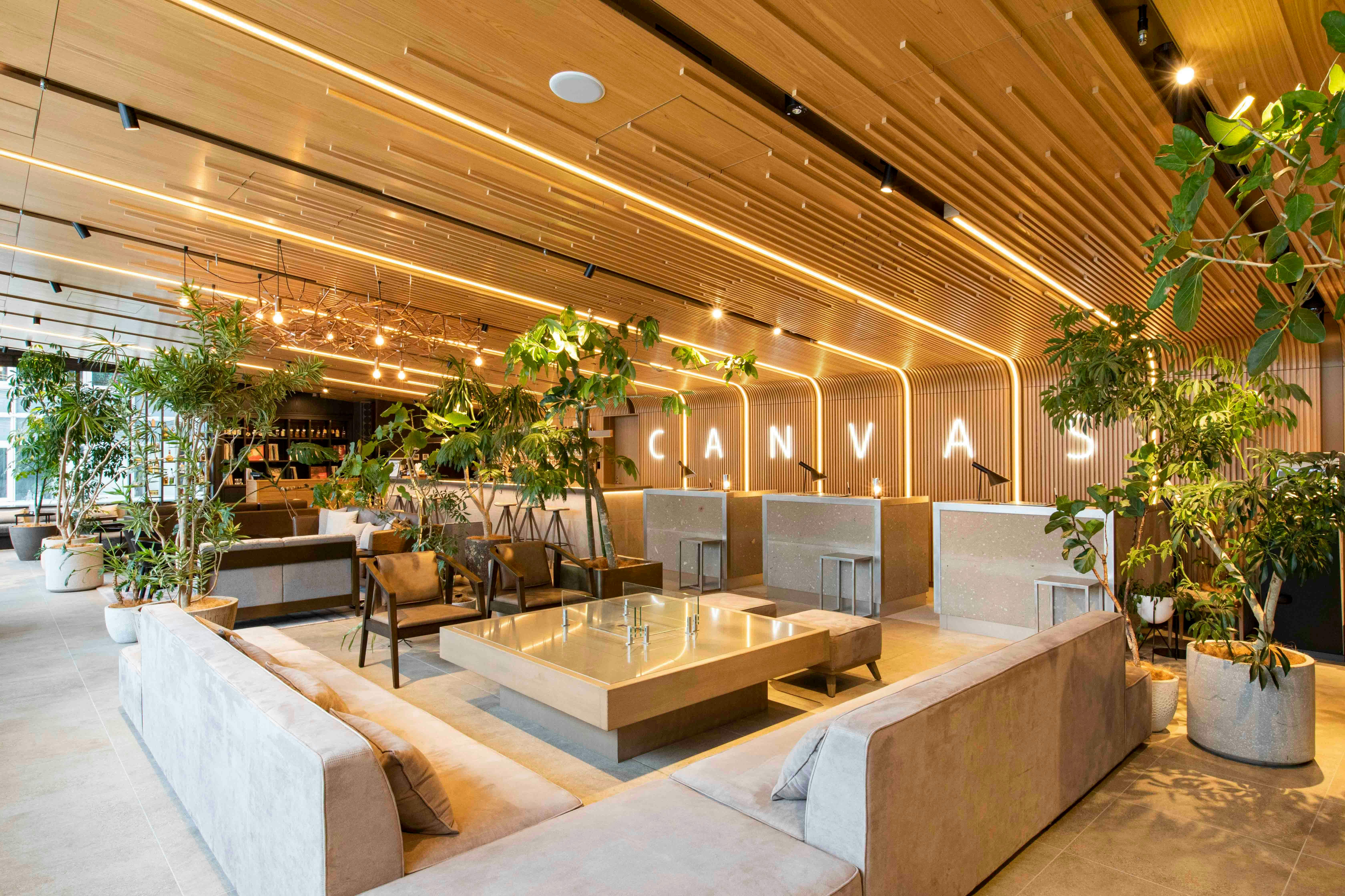 CANVAS LOUNGE 「KOKAGE」