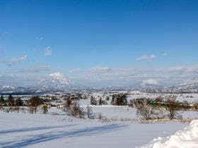 ＨＯＴＥＬ　ＣＯＣＯＡ