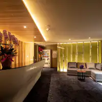 สิ่งอำนวยความสะดวก: แผนกต้อนรับ