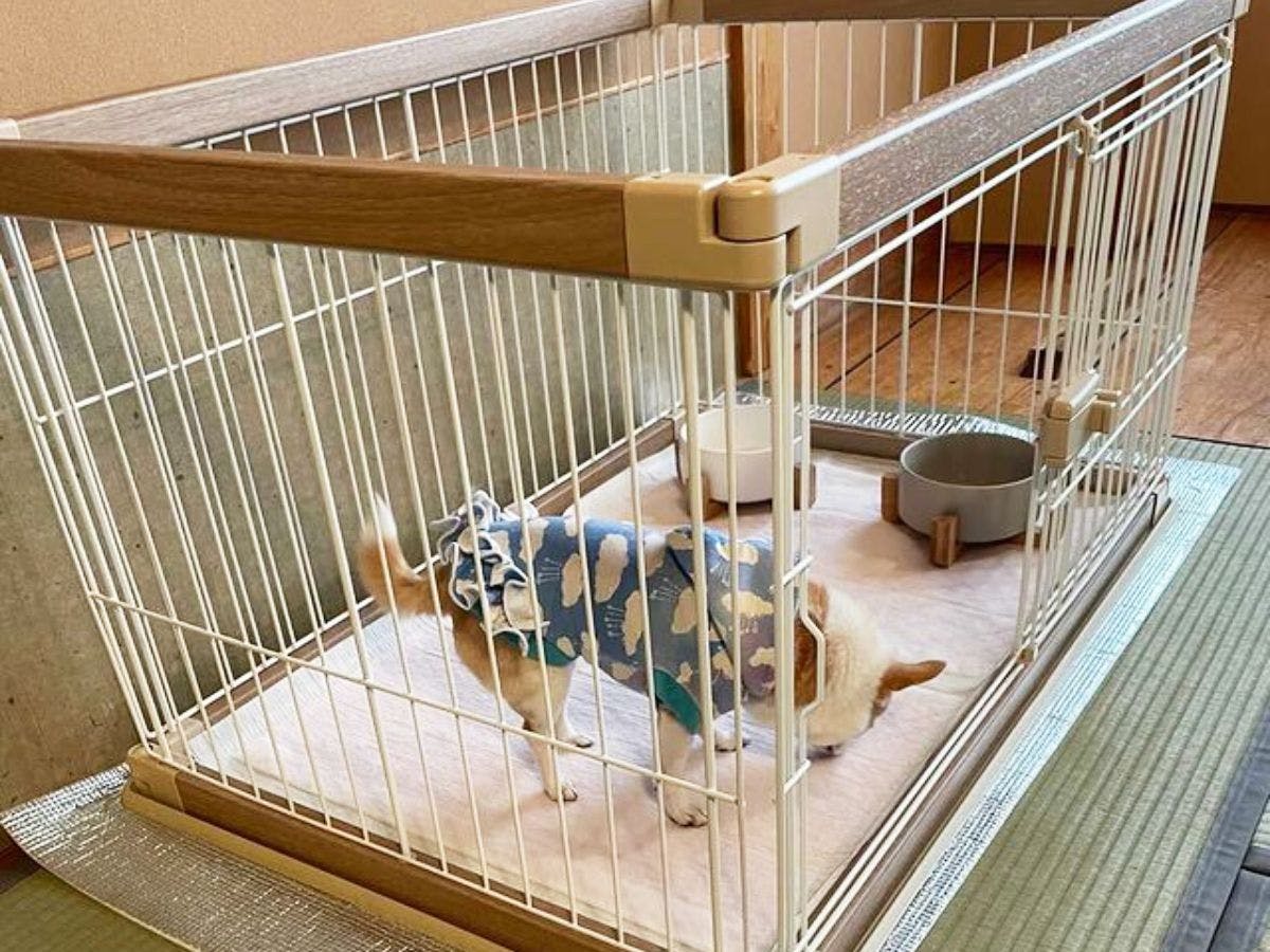 Hiranoya Ryokan & Sauna