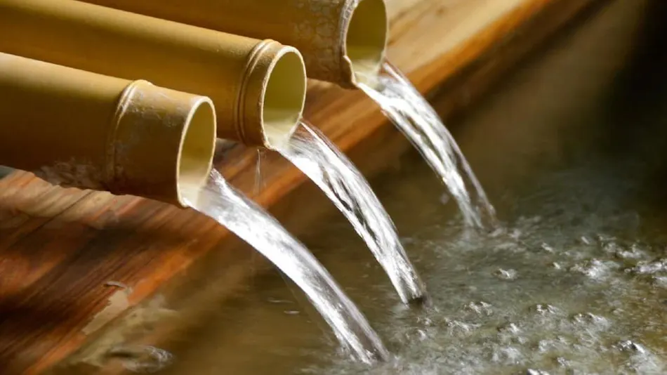 Forest Resort Yugawara Manyoso