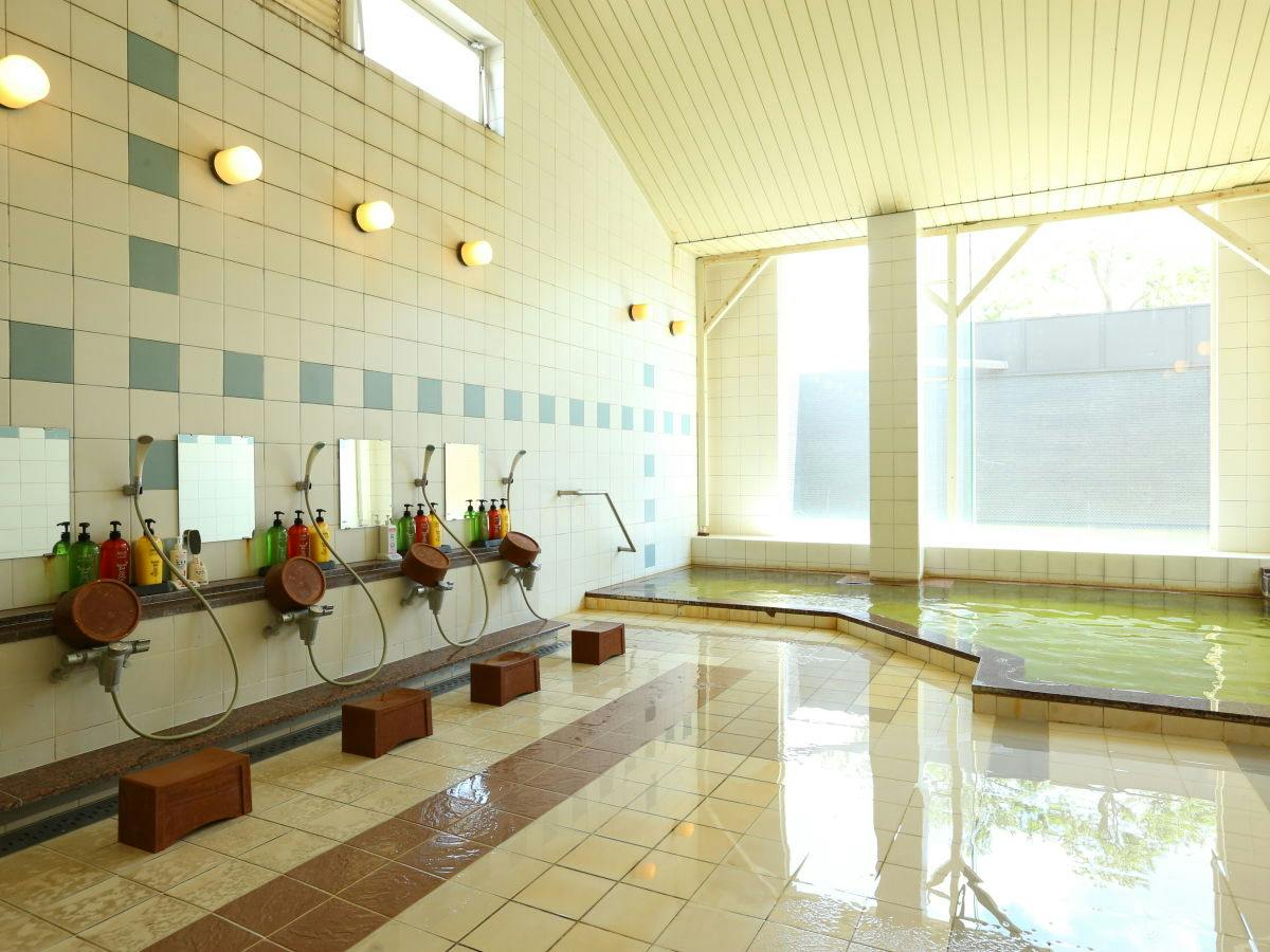Minami Kujukuri Shirako Onsen Shirako New Seaside Hotel