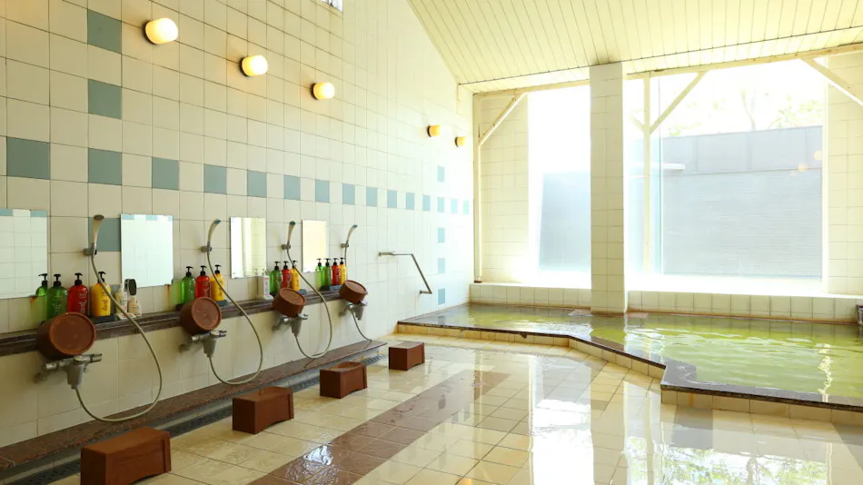 Minami Kujukuri Shirako Onsen Shirako New Seaside Hotel