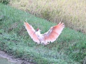 ふれあいハウス潮津の里