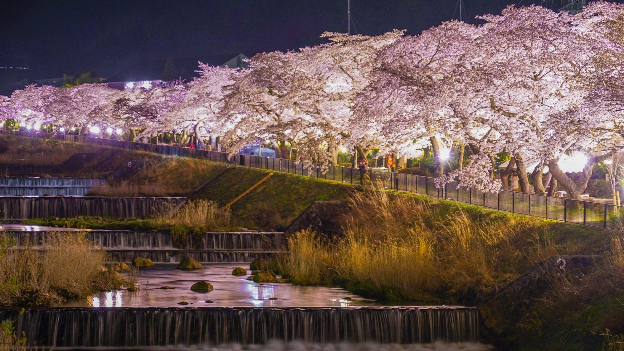 봄의 하코네를 즐겨보세요.