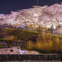 봄의 하코네를 즐겨보세요.