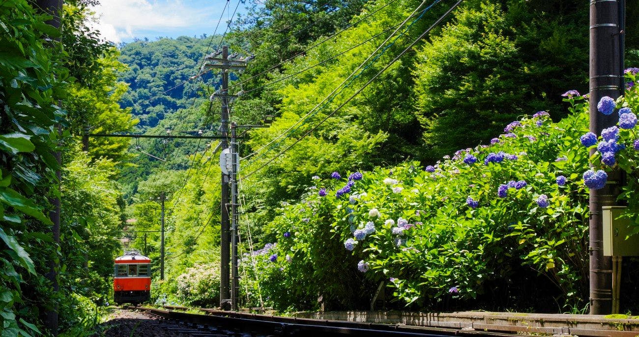 자유로운 하코네 여행
