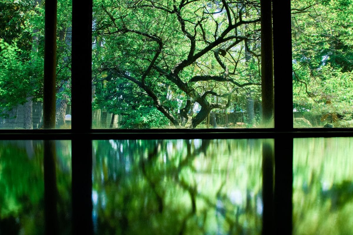 Kiji Onsen Tanakaya