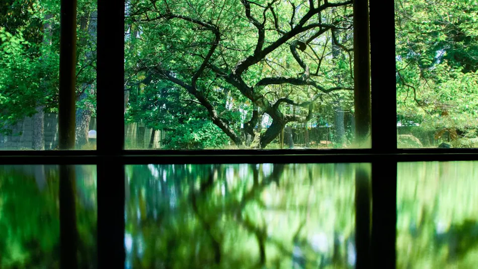 Kiji Onsen Tanakaya