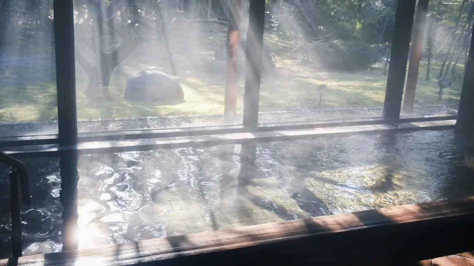 Kiji Onsen Tanakaya
