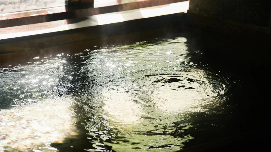 Kiji Onsen Tanakaya