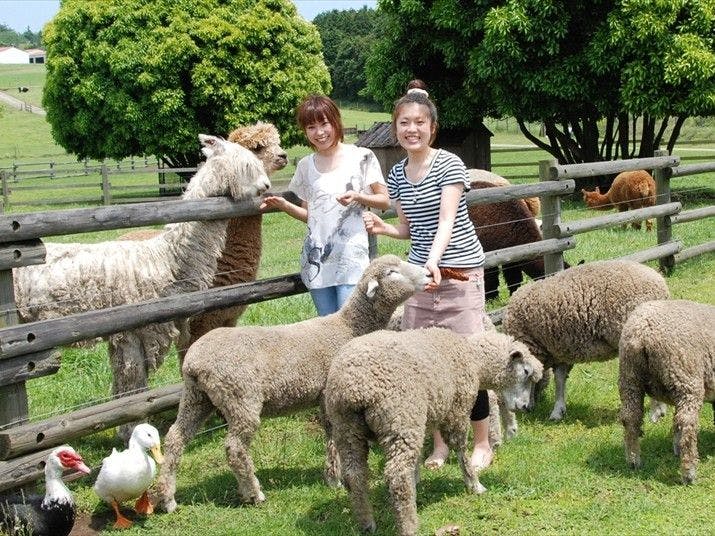 มาเธอร์ฟาร์ม