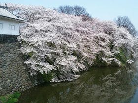 ホテルパールシティ天童