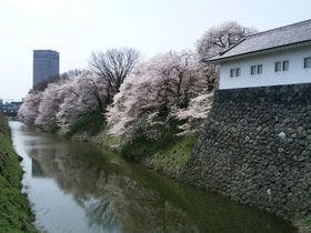 ホテルパールシティ天童