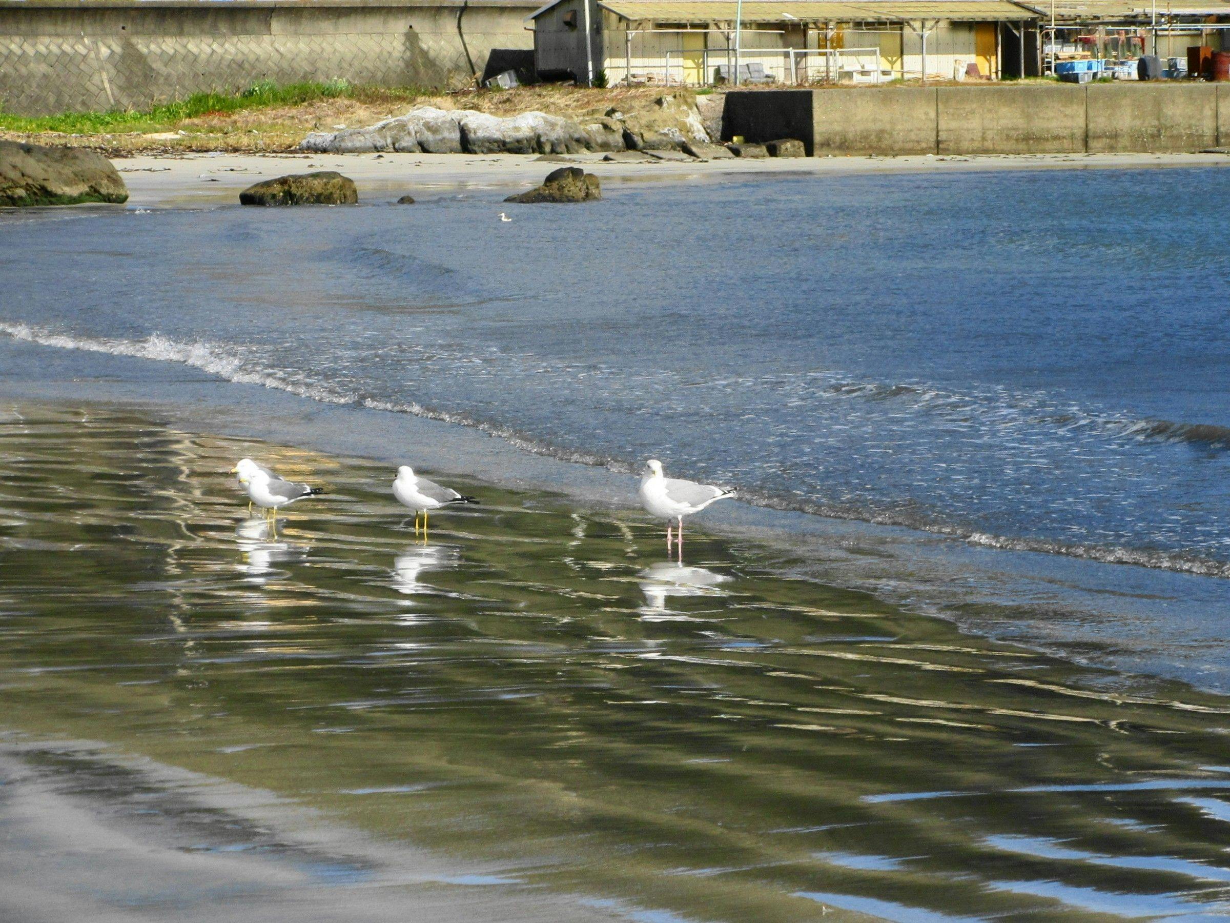 Boso Shirahama Umisato Hotel