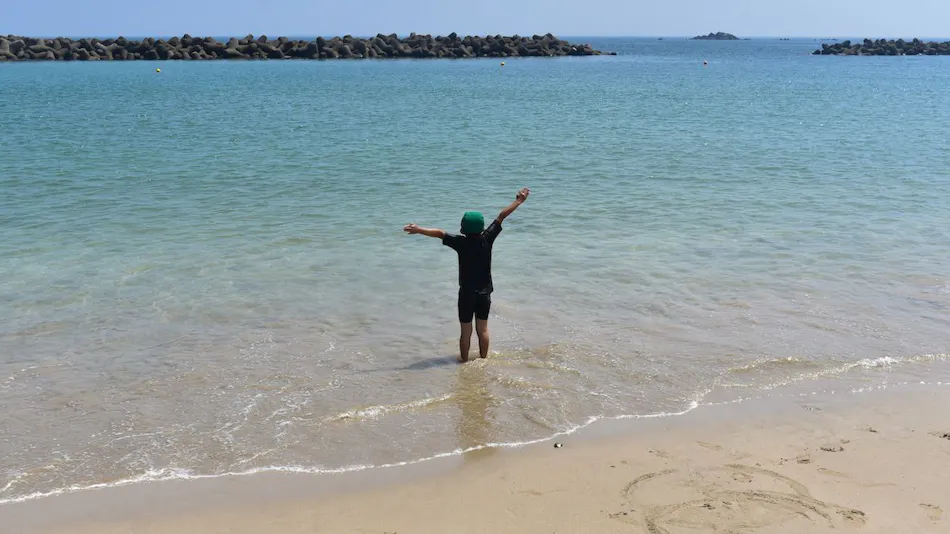 Hama no Miyabitei Ichii