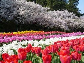 ホテル鞠水亭（きくすいてい）