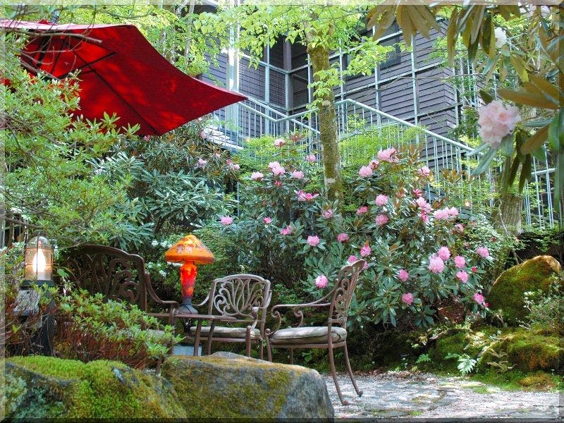 Di dalam patio