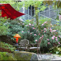 Di dalam patio