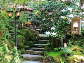 ペンション　モーツァルト