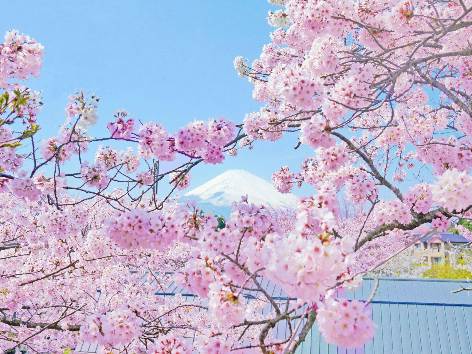 Gotemba Kogen Toki no Sumika