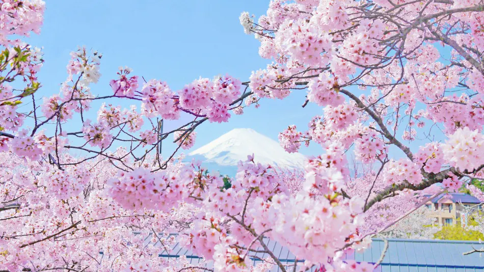 Gotemba Kogen Toki no Sumika
