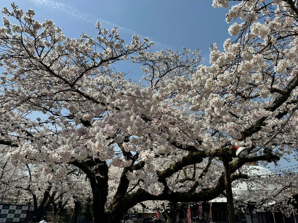 Gotemba Kogen Toki no Sumika