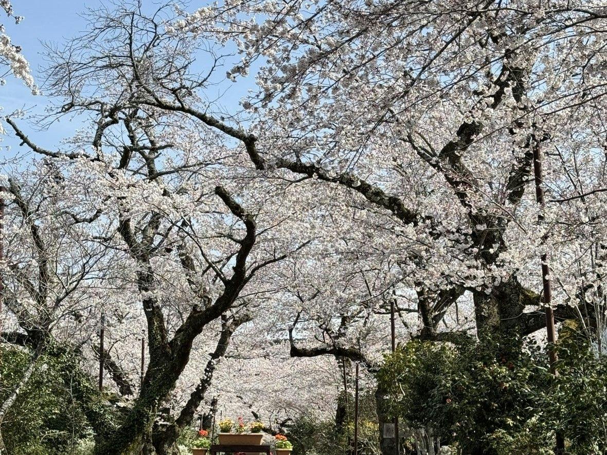 Gotemba Kogen Toki no Sumika