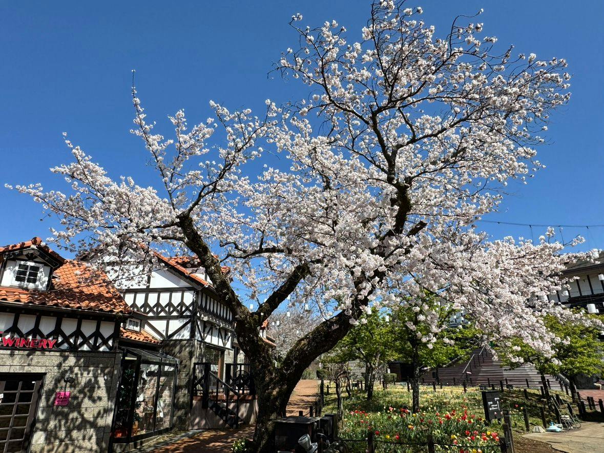 Gotemba Kogen Toki no Sumika