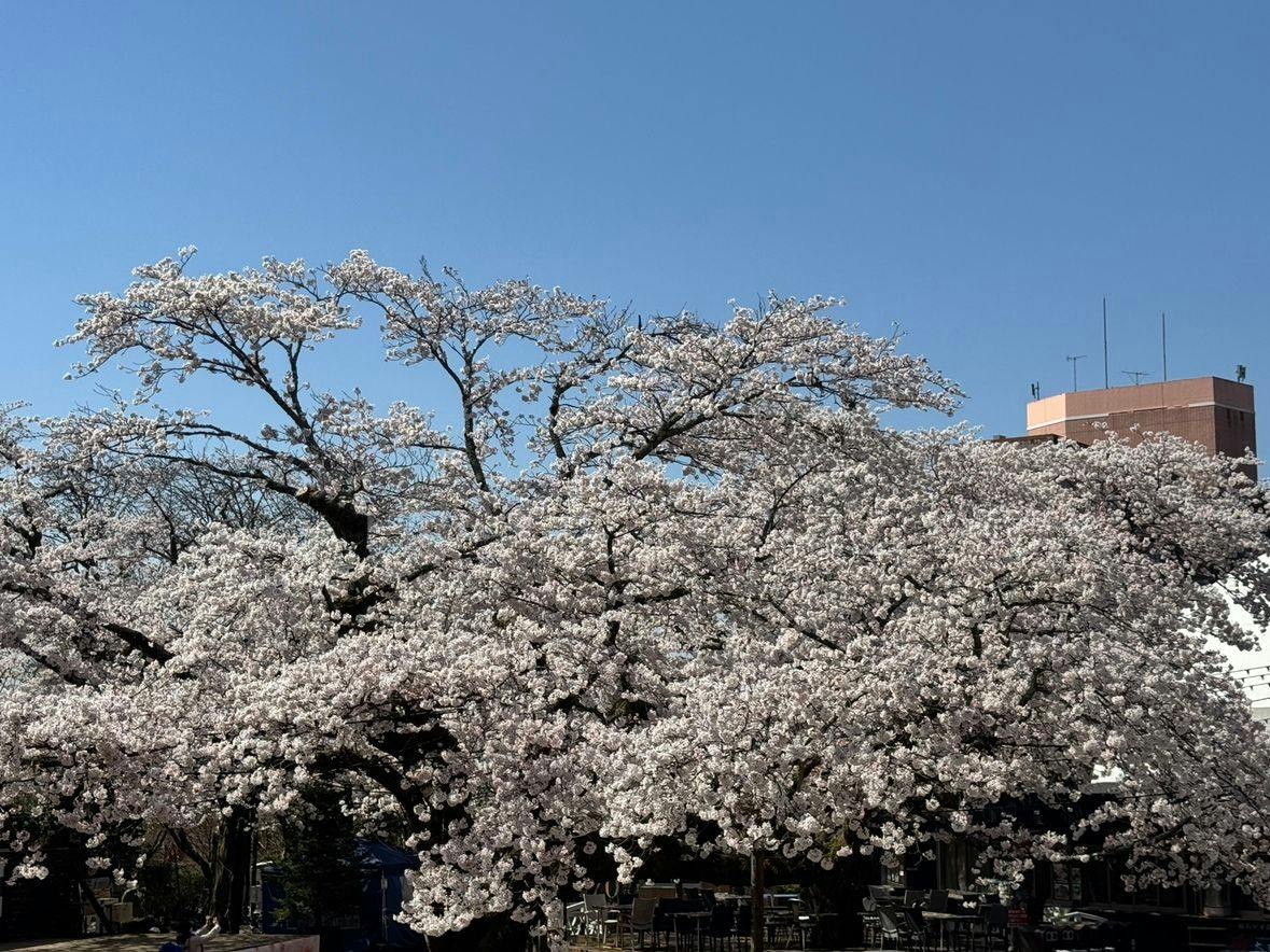 Gotemba Kogen Toki no Sumika