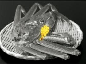 休暇村越前三国