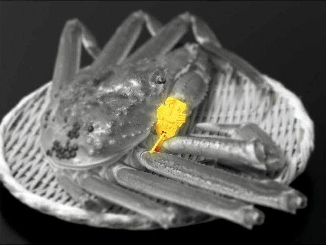 Kyukamura Echizen Mikuni