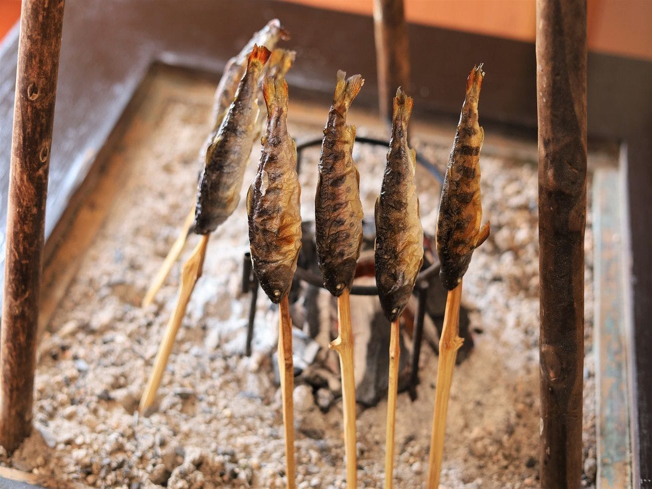 ปลาแซลมอนย่างเกลือเมนูพิเศษตามฤดูกาล