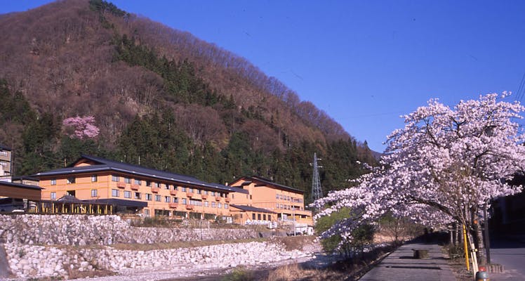 花桃の里のバリアフリーのお部屋 おすすめホテル 旅館 お得に宿泊予約 Yahoo トラベル 花桃の里のバリアフリーのお部屋 おすすめホテル 旅館 お得に宿泊予約 Yahoo トラベル